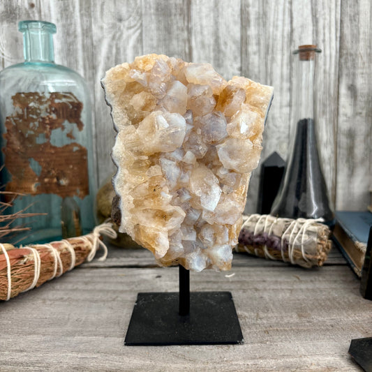 Large Yellow Citrine Crystal Geode With Stand / FoxlarkCrystals