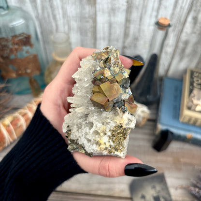 Self Standing Pyrite and Clear Quartz Crystal Cluster / FoxlarkCrystals